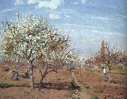 Camille Pissaro Orchard in Bloom at Louveciennes Spain oil painting artist